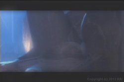 Captura de 'Playgirl: Behind Closed Doors' nº 64