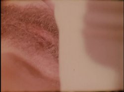 'Inside Marilyn Chambers' screenshot nº 37