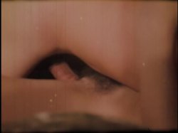 'Inside Marilyn Chambers' screenshot nº 56