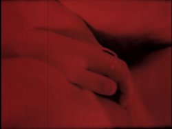 'Inside Marilyn Chambers' screenshot nº 12