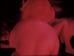 'Inside Marilyn Chambers' screenshot nº 17