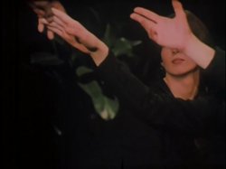 'Inside Marilyn Chambers' screenshot nº 22