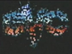 'Outrageous Orgies 2' screenshot nº 2