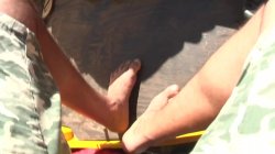 'Moviestars 14' screenshot nº 119