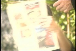 'Porn Star' screenshot nº 4