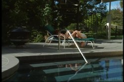 'Confessions of Hollywood Housewives' screenshot nº 42