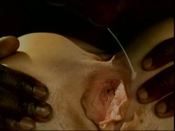 Captura de 'Hot Scorching Sex' nº 24