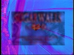 'SugarWalls 29' screenshot nº 5