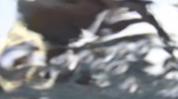 Captura de 'Hairy Chicks With Glasses' nº 118