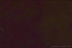 'Candy Girls' screenshot nº 106