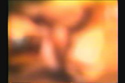 Captura de 'Top Ten Natural Busty Porn Stars Of All Time' nº 68