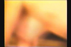 Captura de 'Top Ten Natural Busty Porn Stars Of All Time' nº 69