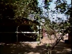 Captura de 'Raunchy Ranch' nº 6