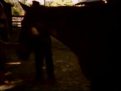 Captura de 'Raunchy Ranch' nº 8