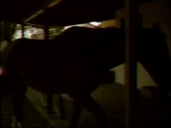 Captura de 'Raunchy Ranch' nº 10