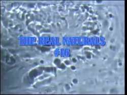 'Real Naturals 16' screenshot nº 1