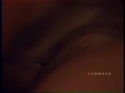 Captura de 'Cecil Howard's Last X-Rated Movie' nº 8