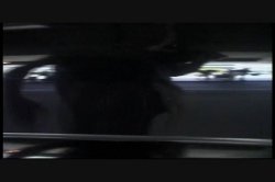 Captura de 'Seymore Butts' Tushy Anyone' nº 110