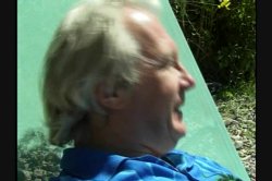 'Mr. Beaver Checks In #7' screenshot nº 10