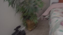 'Teen Transsexuals Bareback Birthday Fun' screenshot nº 3
