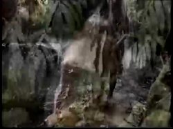Captura de 'Hawaii 5-Ho' nº 130