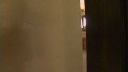 Captura de 'Bachelor Party Fuckfest 9' nº 72