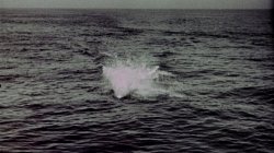 'Prisoner Of Paradise' screenshot nº 4