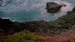 'Prisoner Of Paradise' screenshot nº 9