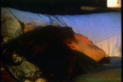 Captura de 'All about Gloria Leonard' nº 94