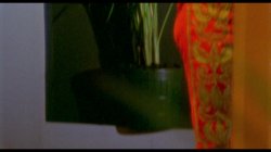 Captura de 'Maraschino Cherry' nº 106