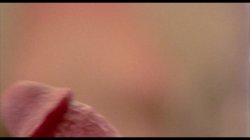 Captura de 'Maraschino Cherry' nº 113