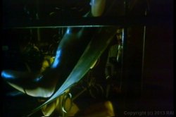 Captura de 'Bel Ami' nº 7