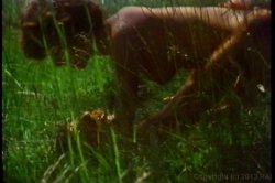 Captura de 'Bel Ami' nº 28