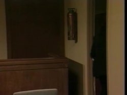 Captura de 'Nookie Court' nº 60