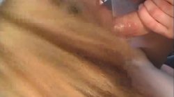 Captura de 'Kelly Wells & Cheyne Collins & John West Suck DP Anal Gape Facials Collector Scene' nº 28