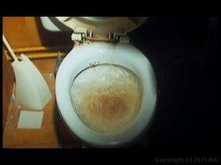 Captura de 'Little Girls, The (French)' nº 14