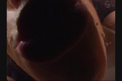 'Daddy's Home' screenshot nº 49