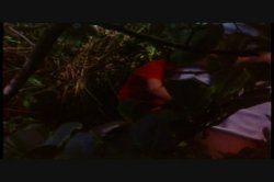 'Luscious' screenshot nº 87