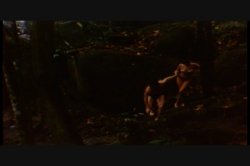 'Luscious' screenshot nº 88