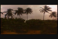 'Luscious' screenshot nº 100