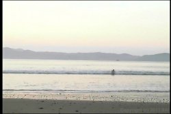 'Lust in Paradise' screenshot nº 3