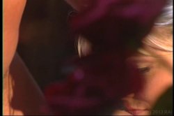 'Lust in Paradise' screenshot nº 54