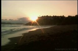 'Lust in Paradise' screenshot nº 76
