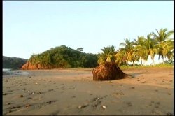 'Lust in Paradise' screenshot nº 9