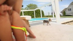Captura de 'Ass Traffic Vol. 7' nº 7