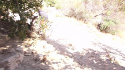 Captura de 'Butt Naked In Nature' nº 124