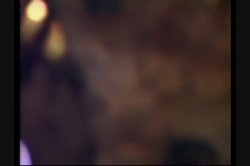 'Private Penthouse: Greatest Moments 1' screenshot nº 106