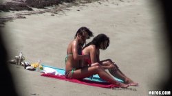 'Pervs On Patrol 8' screenshot nº 2