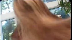 'Whack Attack #12' screenshot nº 83