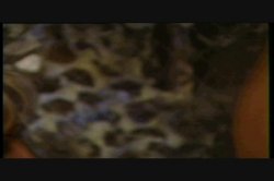 Captura de 'Stardust 6' nº 59